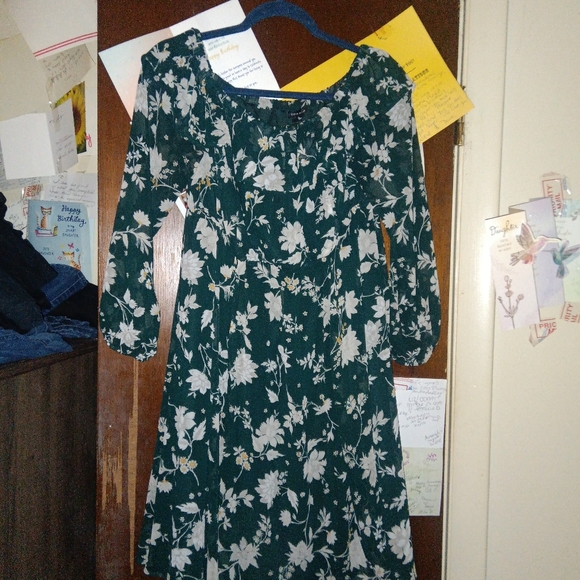 TORRID Mini Chiffon Off Shoulder Skater Dress - Picture 5 of 11